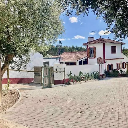 Villa Sunny Grandfather *